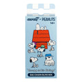 Peanuts Bag Charm Blind Box Wave 01 - Siblings - Individual Blind Box
