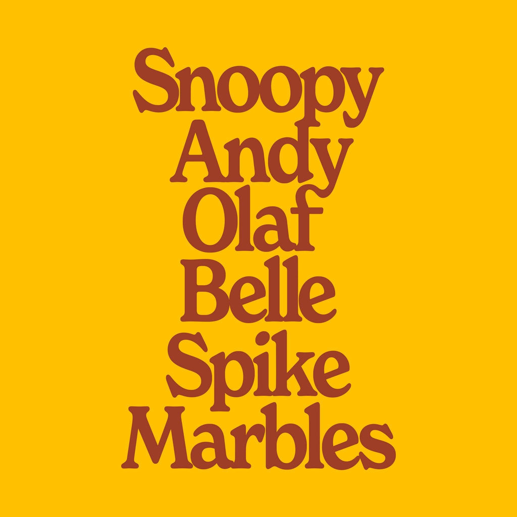 Peanuts Fleece - Family (Hoodie, Orange)