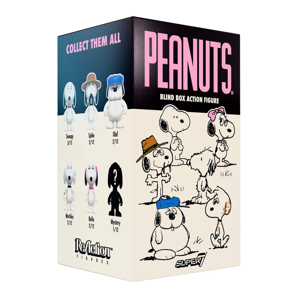 Peanuts Blind Box Wave 10 (Snoopy's Siblings) - Blind Box Flat