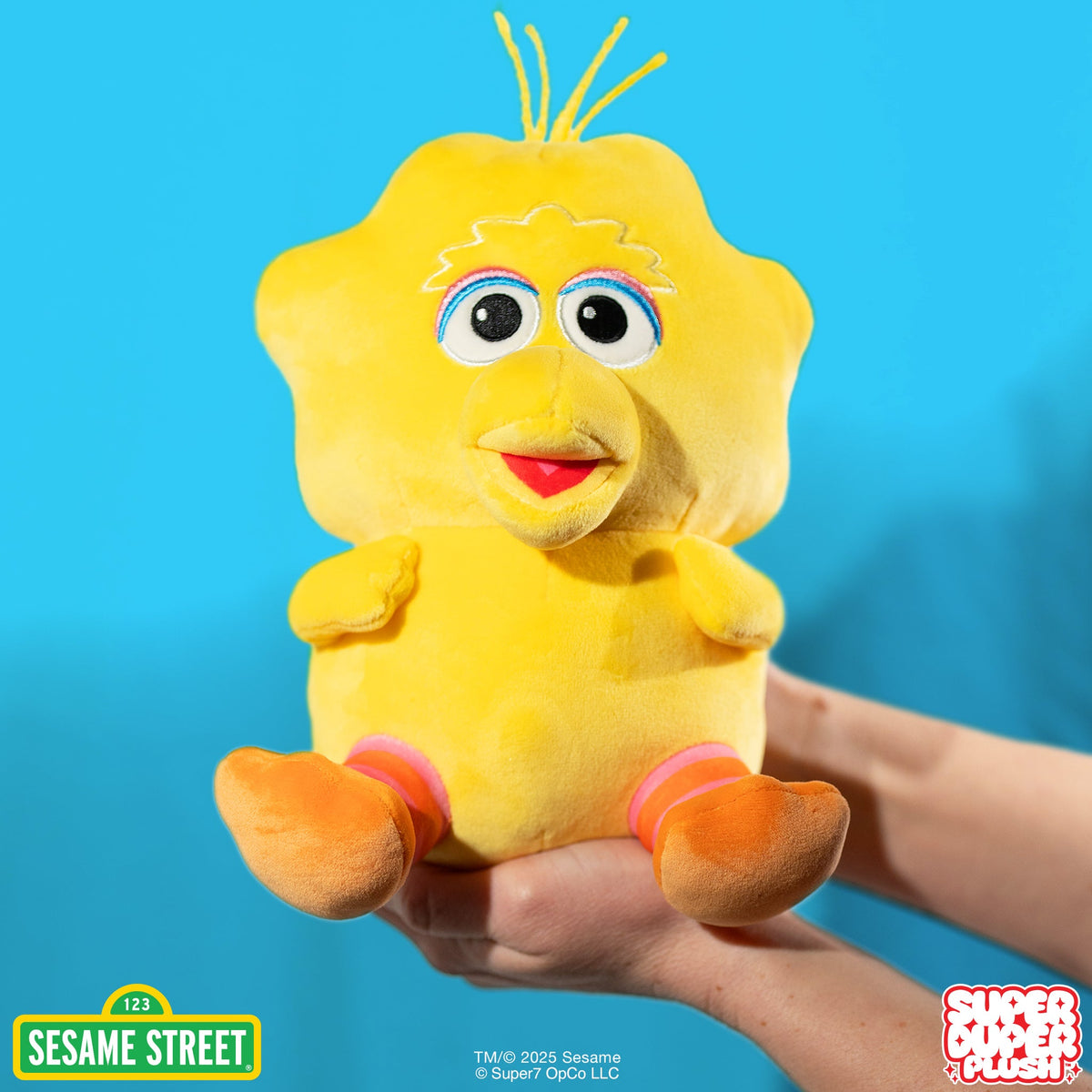 Sesame Street Super Duper Plush Wave 01 - Big Bird