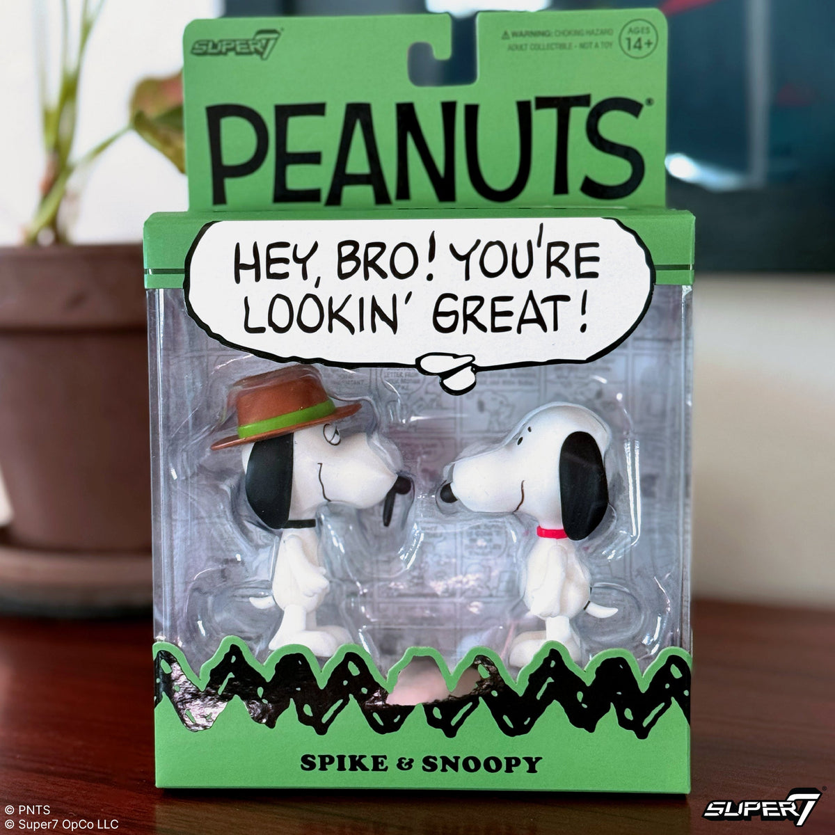 Peanuts Siblings Bundle - Snoopy & Spike, Olaf & Andy and Family Hoodie