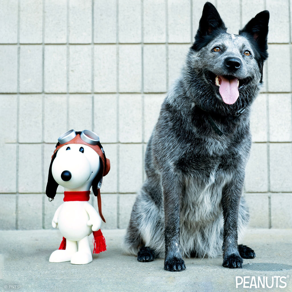 Peanuts SuperSize Vinyl Figure - Snoopy Flying Ace [Doghouse Box]